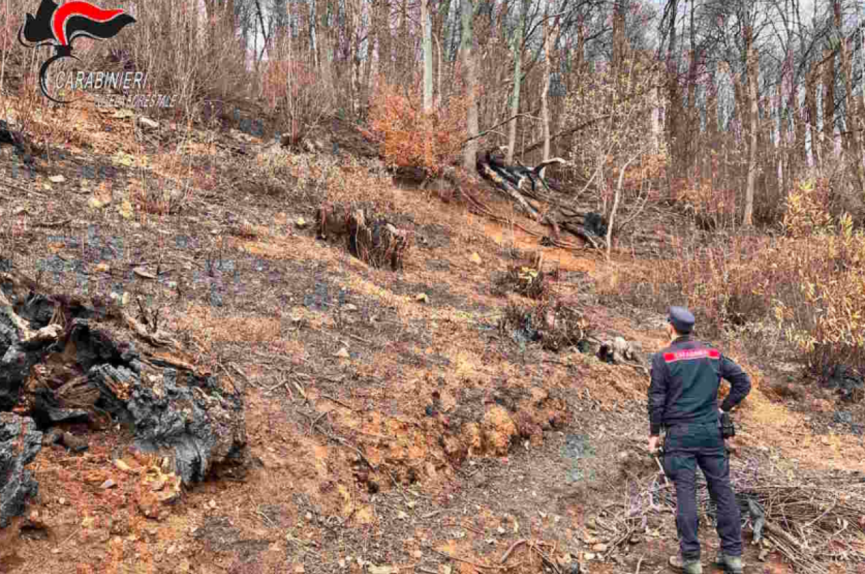 Coassolo Torinese: denunciato il presunto responsabile dell&rsquo;incendio boschivo