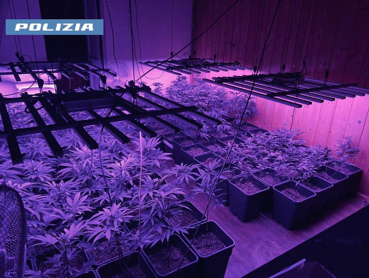 Operazione antidroga a Novara, arresti e sequestri della polizia di stato