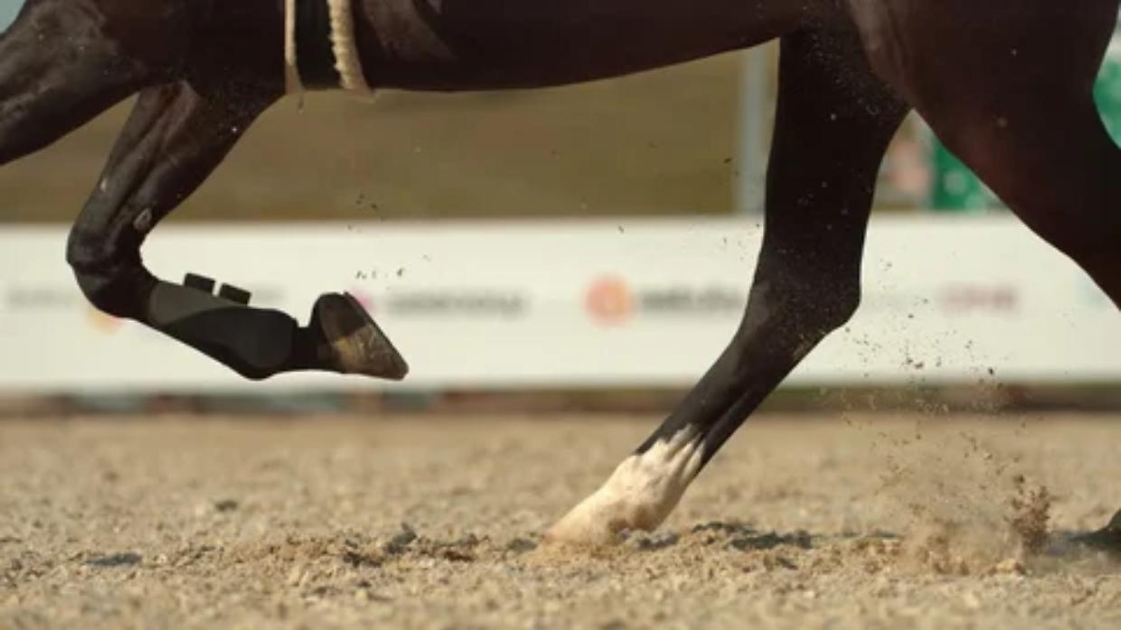 Canavese, talento in sella: Carlotta Ricca, regina regionale indoor negli esordienti 