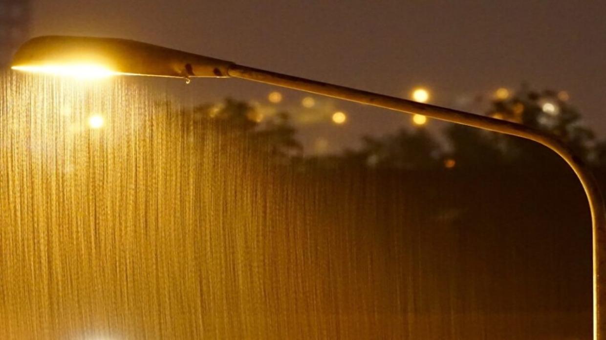 Cuorgn&egrave;, albero pericolante sui cavi a Pian Rosa: intervento del Comune mette in sicurezza la strada