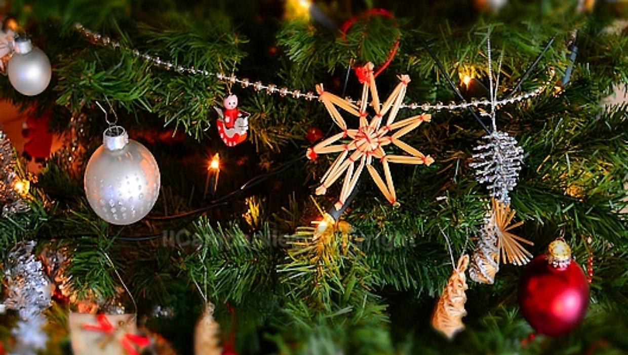 Piante e simboli del Natale: dall&rsquo;Agrifoglio all&rsquo;Abete