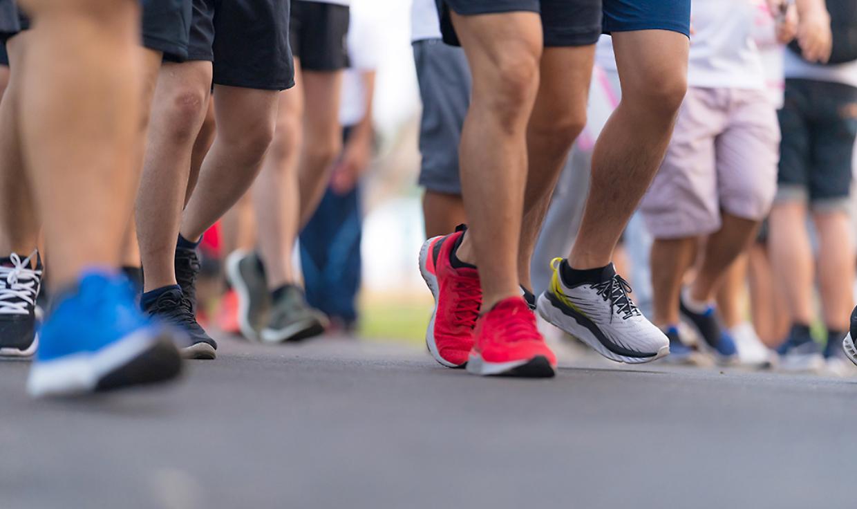 Stammi Bene+: quando la prevenzione diventa comunit&agrave;; volontari protagonisti tra Langa e Roero