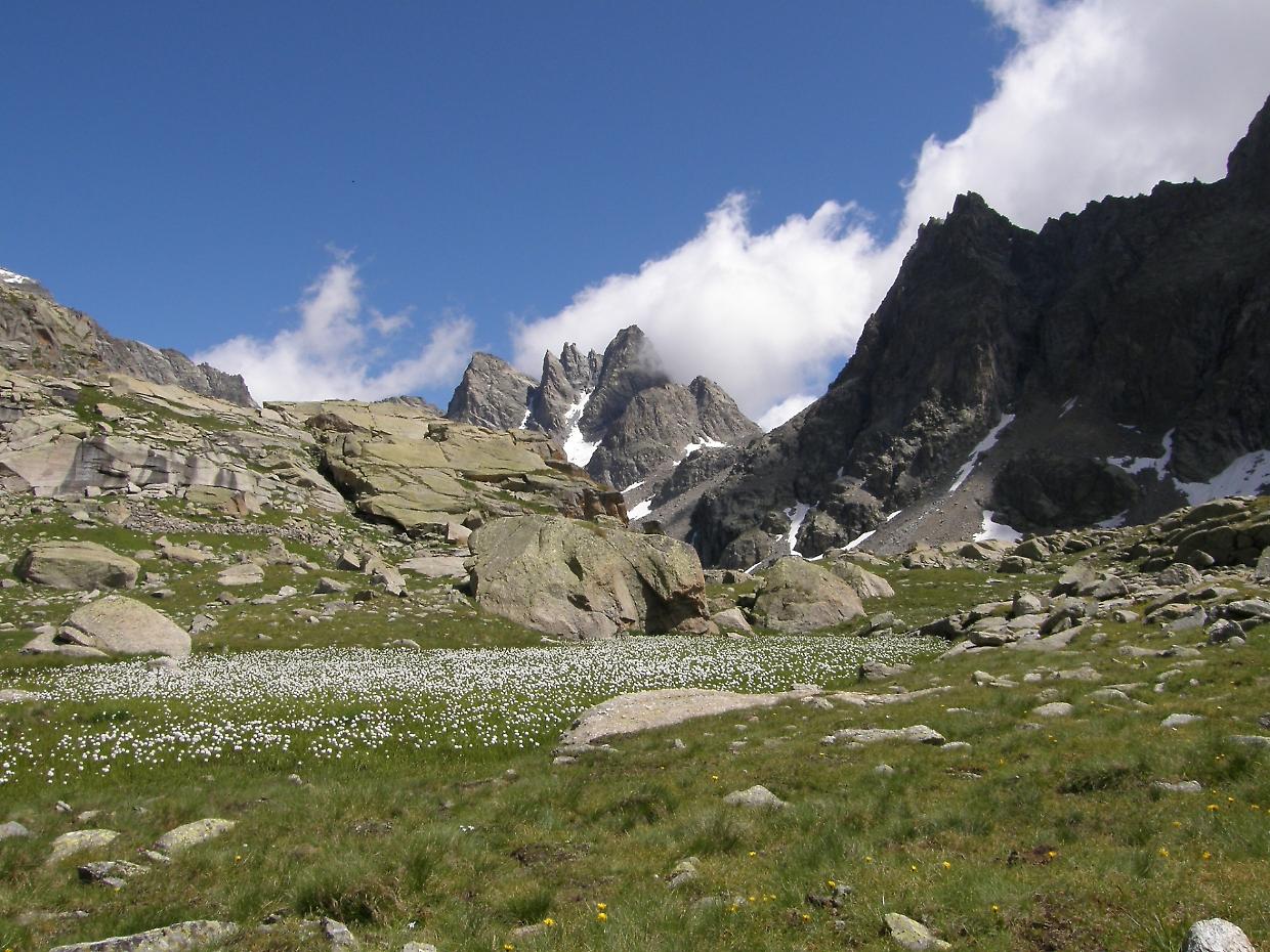 Parco Nazionale Gran Paradiso, finanziamento da 1,58 milioni per interventi sul clima