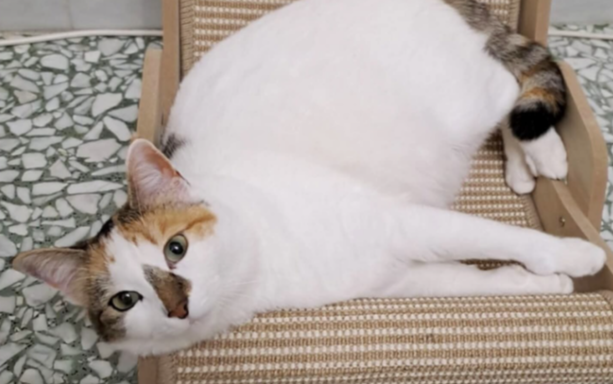 E' uno spirito libero in cerca d'amore