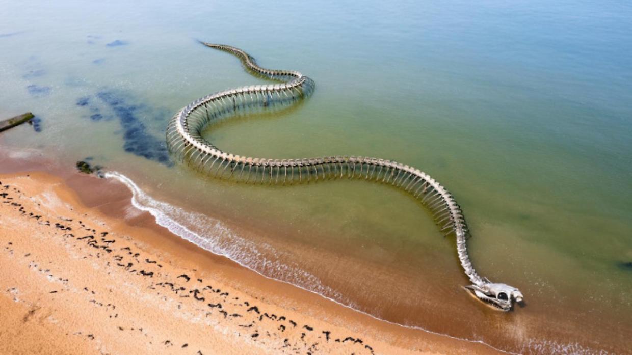 Il Serpente d&rsquo;Oc&eacute;an: lo scheletro gigante che emerge tra mare e sabbia