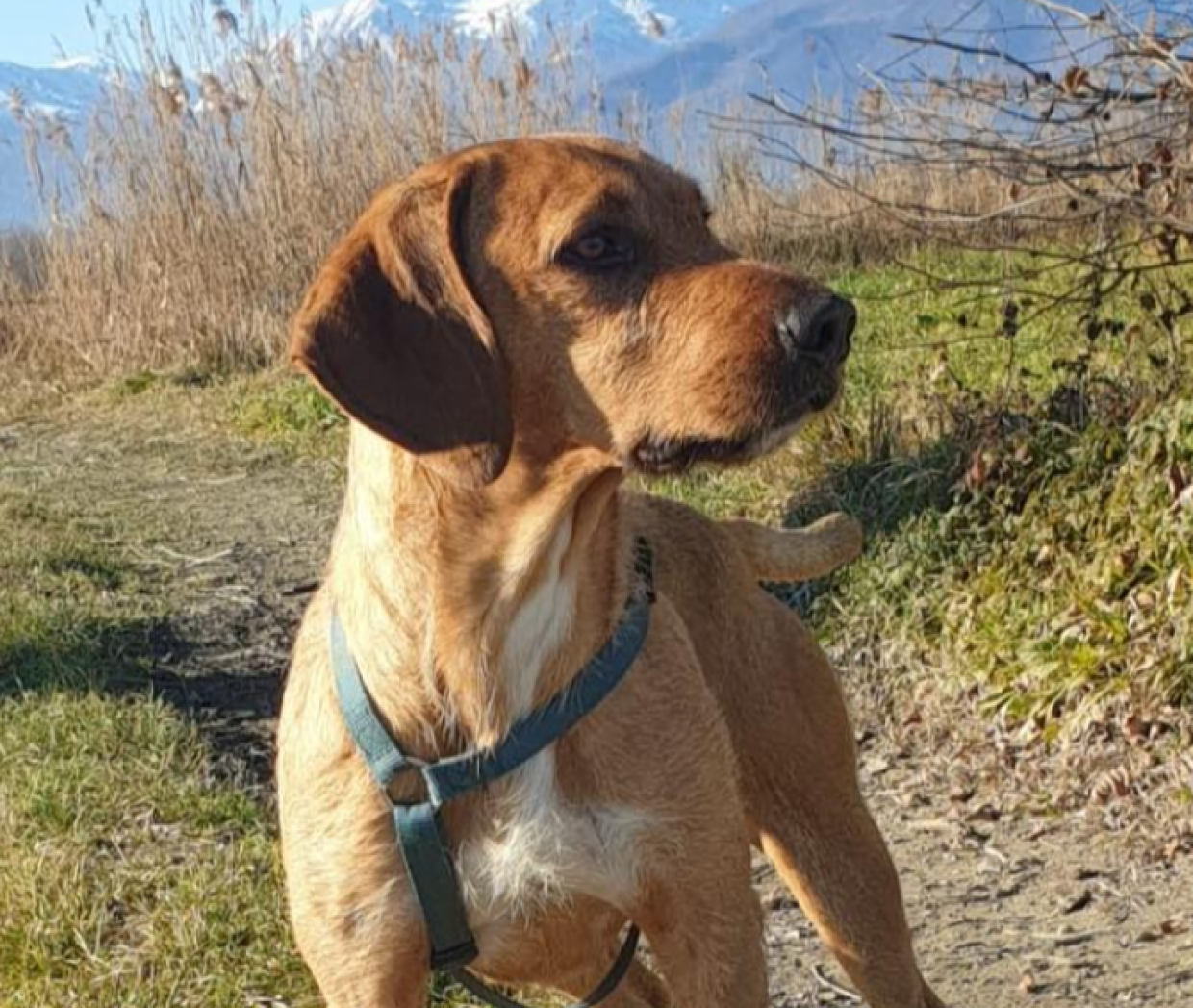 E' arrivato nel torinese con tanta speranza