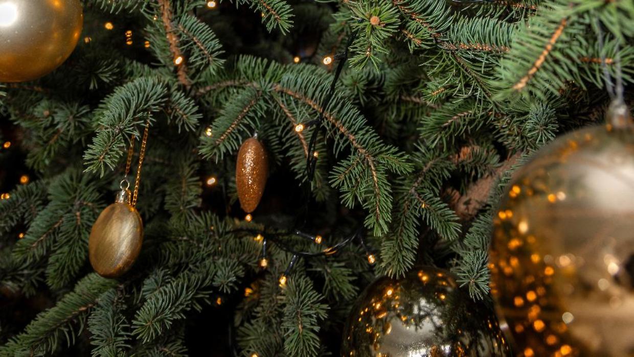 Il Presepe Vivente di Chivasso attira migliaia di persone