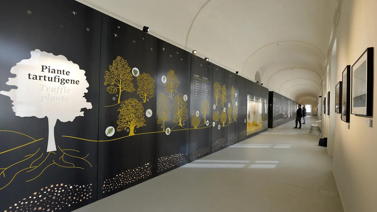 Alba firma la convenzione: il Museo del tartufo cresce con il Centro studi