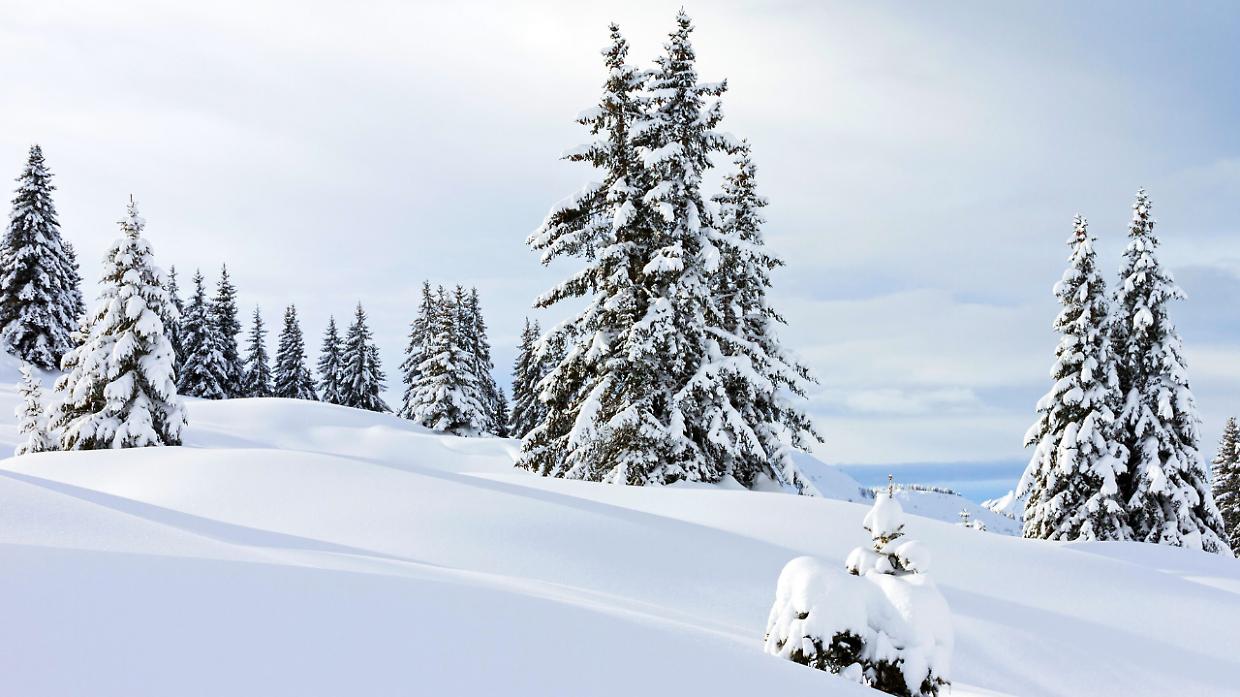 Meteo, in Piemonte &egrave; cominciata un'altra nevicata. Ecco dove e quanto durer&agrave;