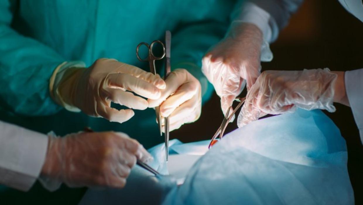 Domodossola, multi espianto di organi: reni, fegato e cornee donati a chi ne aveva bisogno