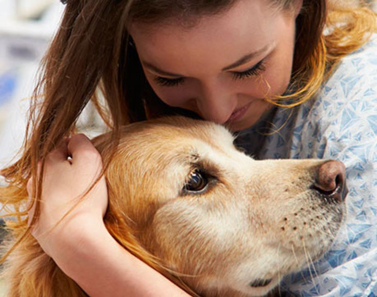 Pet therapy in Pediatria all&rsquo;ospedale di Novara, parte il progetto &ldquo;Quattro zampe&rdquo;