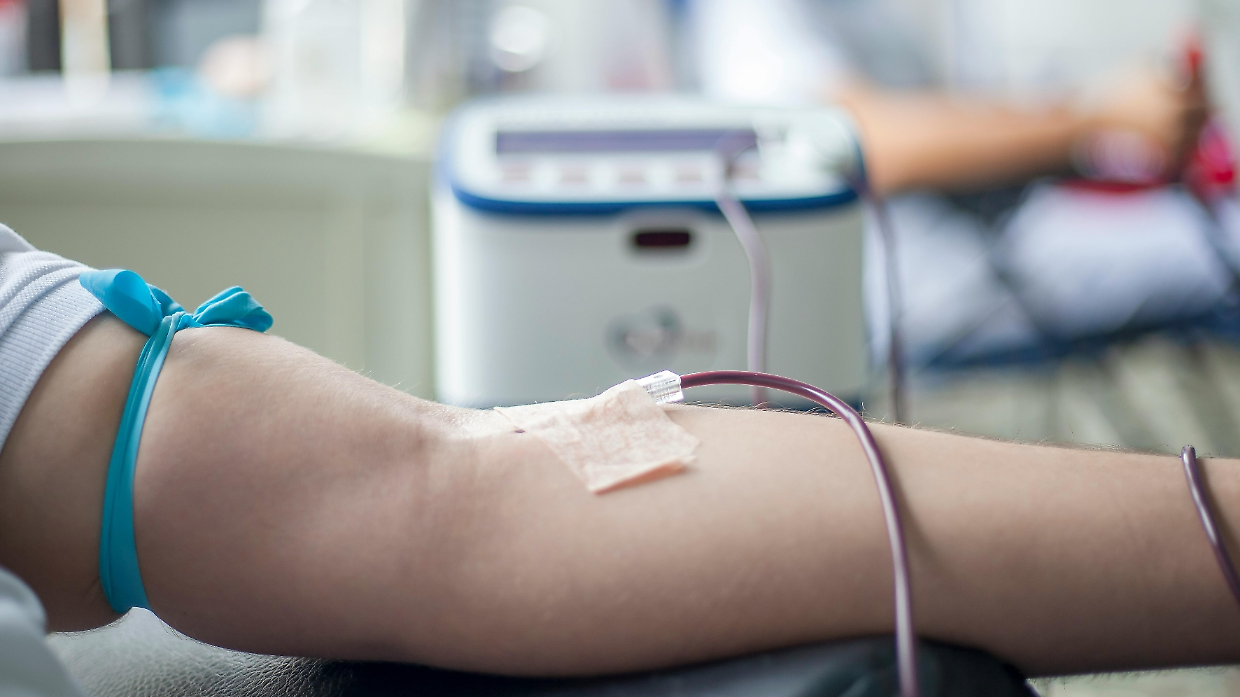 Plasma in Piemonte, la Regione: &ldquo;Nessun allarme sulla raccolta&rdquo;