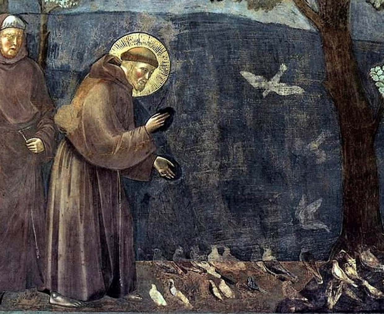 San Francesco, un uomo e molti sguardi: l&rsquo;arte e la cultura si incontrano alla serata di Aregoladarte