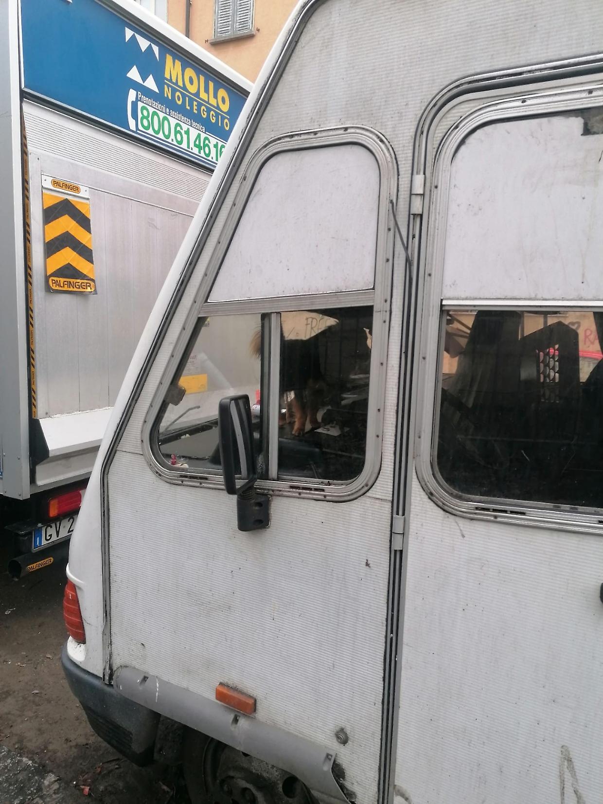 Chihuahua chiusi per giorni in camper, l&rsquo;allarme della Lega: &laquo;Non sono casi isolati&raquo; 