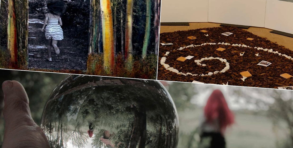 Metamorphoseon, quando il bosco entra in museo: a Rivoli l&rsquo;arte si fa materia viva