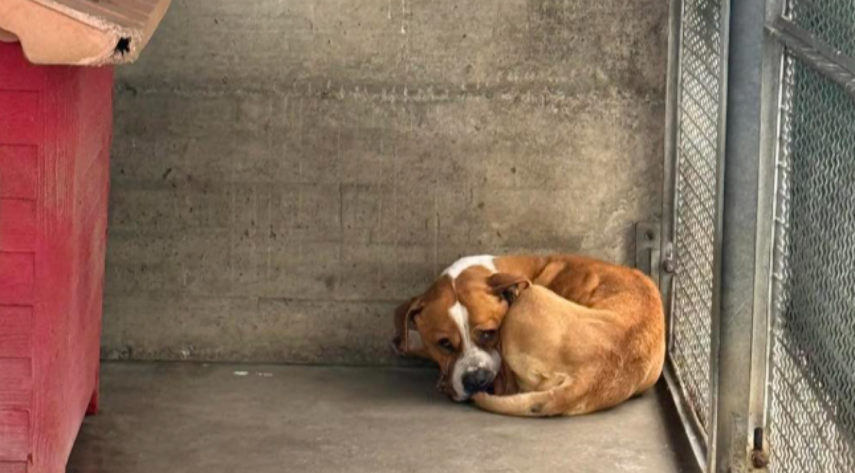 Resta cos&igrave; tutto il giorno, si sta lasciando andare