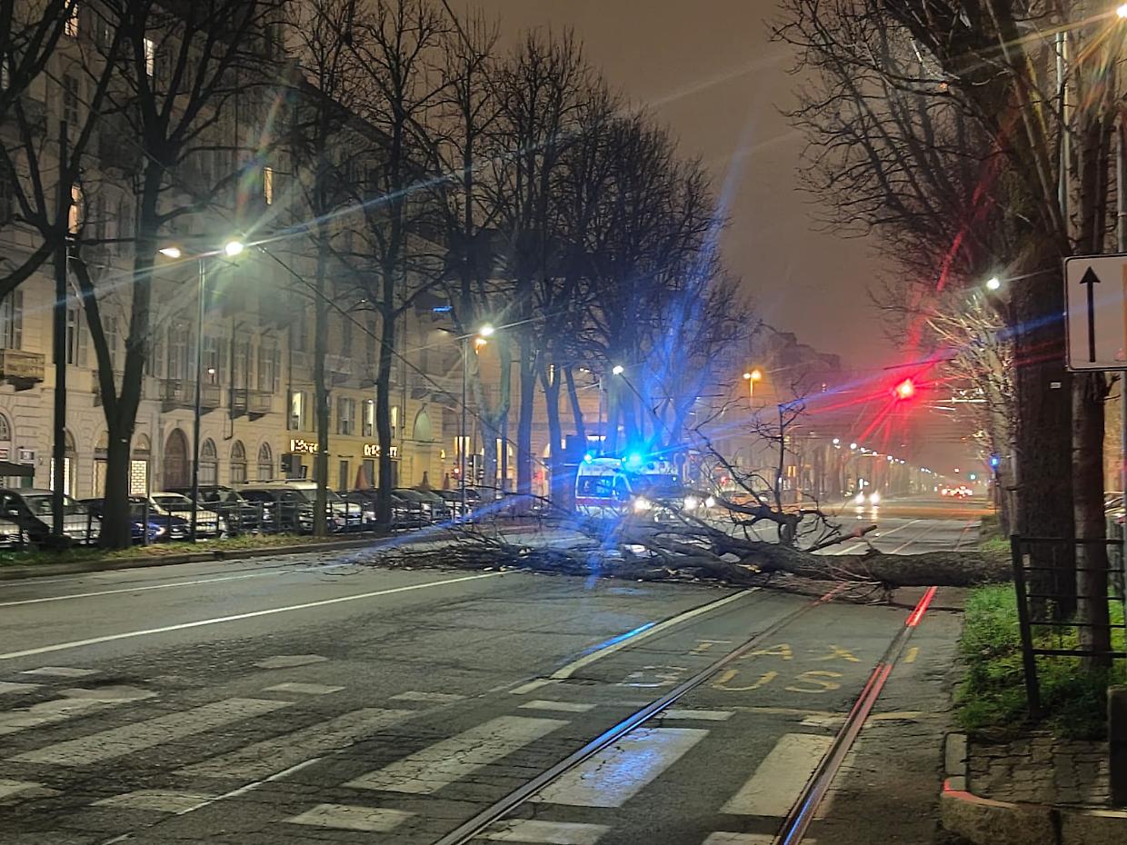 Linea 15 deviata in entrambe le direzioni per una caduta di albero