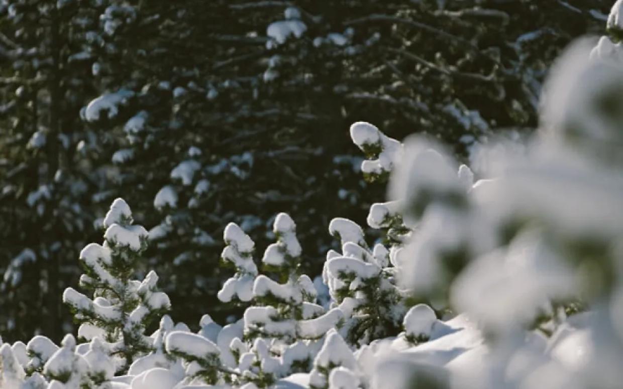 Mondov&igrave;, scatta lo stop per la neve: scuole chiuse domani 