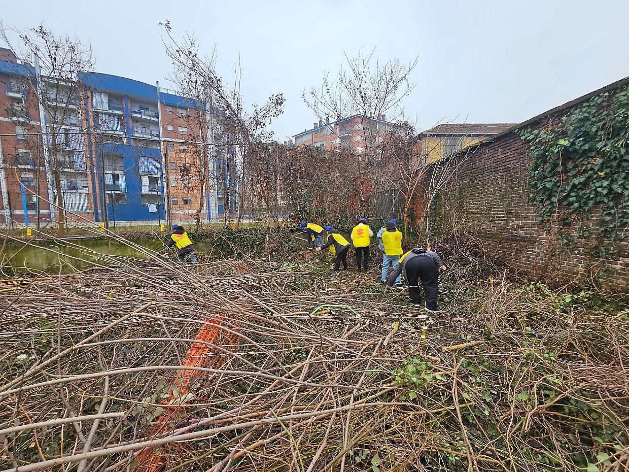Parco Peccei, pulizie e manutenzione