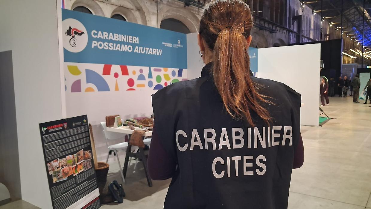 Reati ambientali in crescita in Piemonte: oltre 50mila controlli dei carabinieri forestali nel 2025