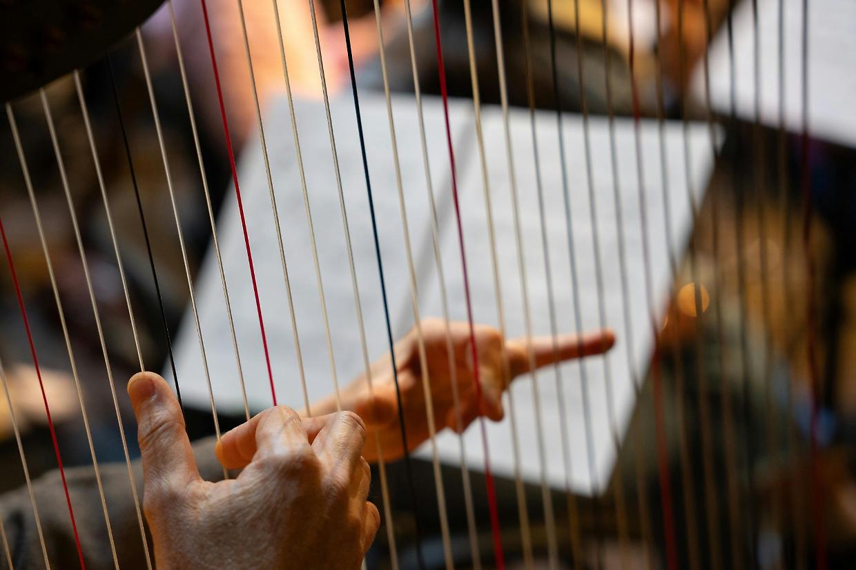 Chivasso in Musica 2026: un&rsquo;orchestra di arpe inaugura la stagione per San Valentino