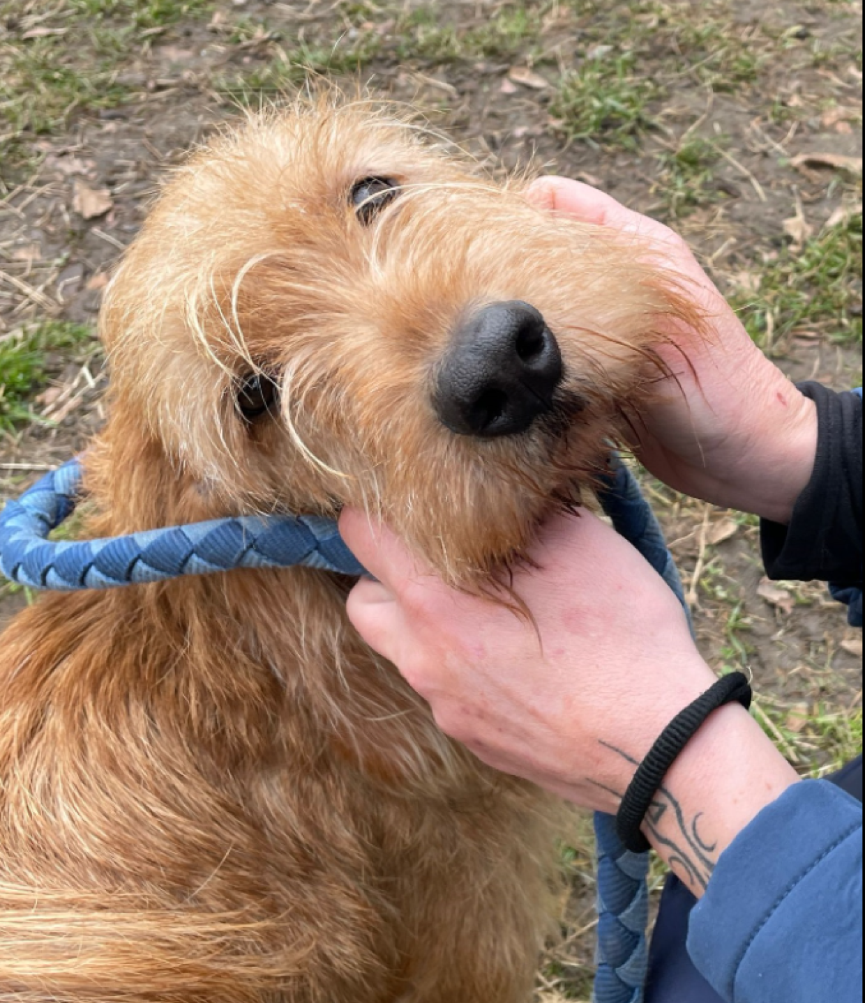 Scampato da una vita fatta da caccia e box