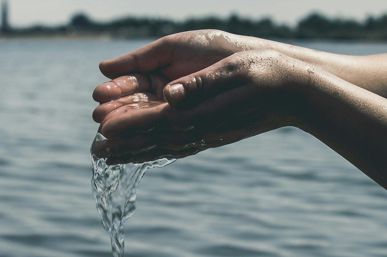 Rivarolo, Istituto Santissima Annunziata: al via il percorso di educazione ambientale che porter&agrave; gli studenti al concorso nazionale