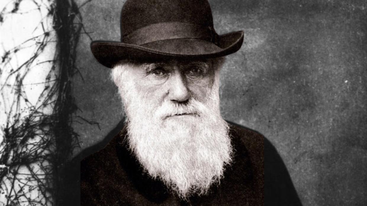 12 febbraio, Darwin Day: il giorno che celebra la rivoluzione dell&rsquo;evoluzione