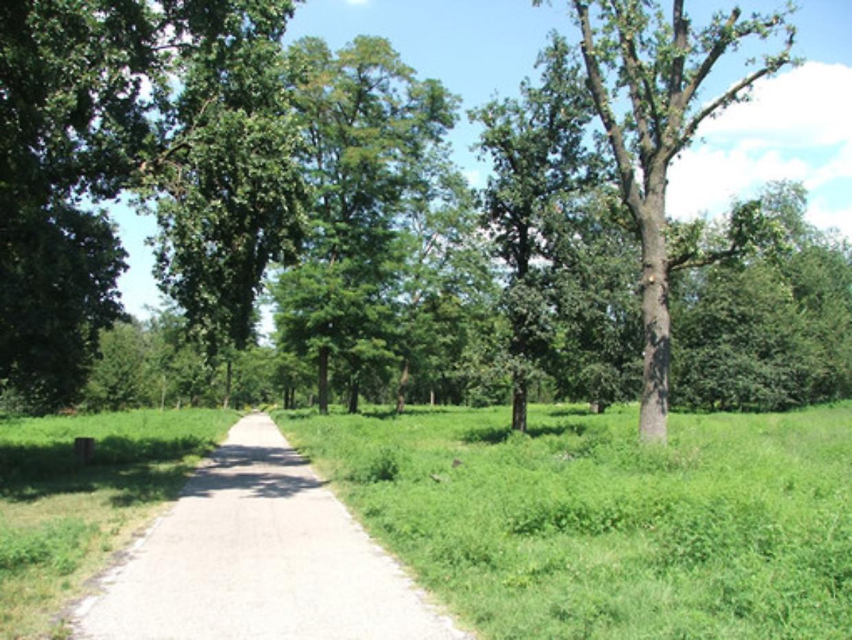 Nichelino, al via la riqualificazione del Parco del Boschetto