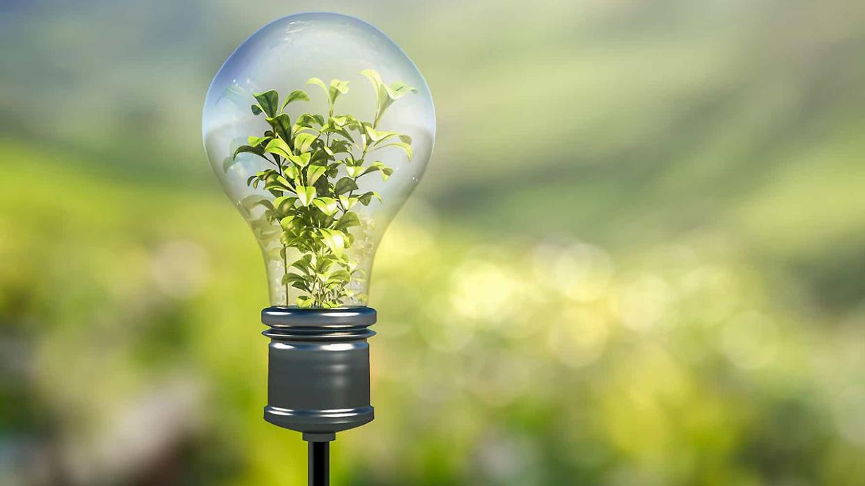 Grugliasco spegne le luci per accendere la consapevolezza