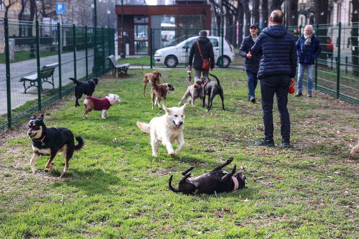 Inaugurata la nuova area cani. E&rsquo; la prima in centro (e sponsorizzata)