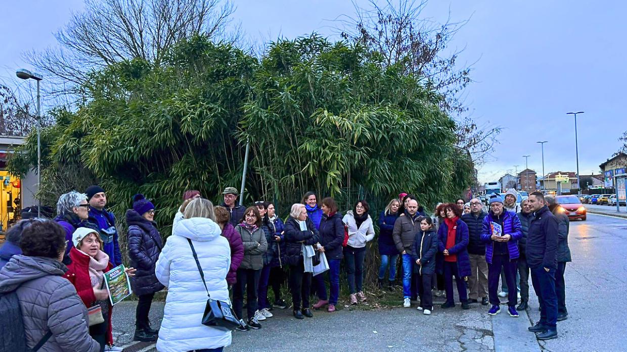 Abbandonata da venti anni, l&rsquo;area verde &egrave; diventata un bosco in citt&agrave;
