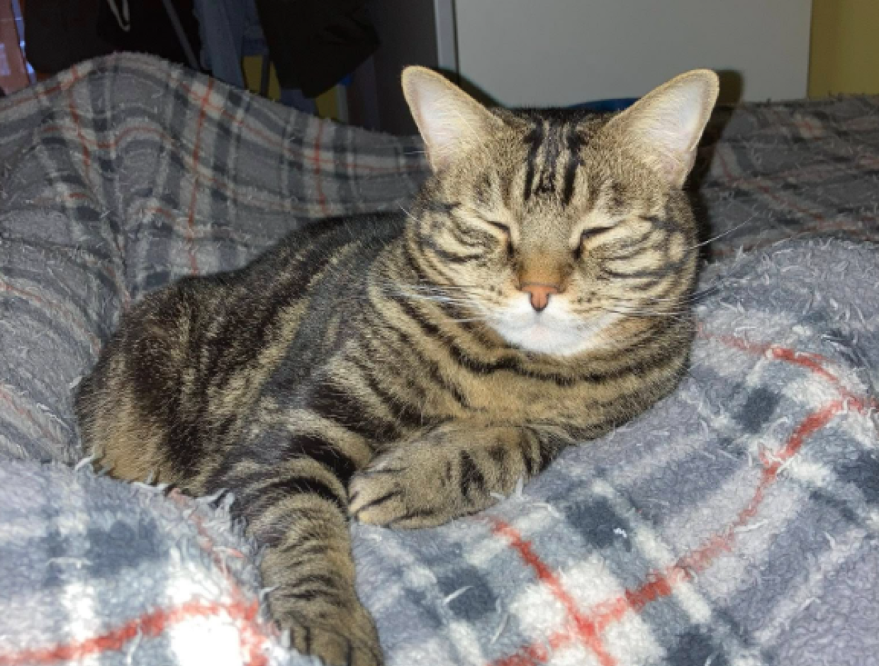 Non pu&ograve; pi&ugrave; restare in quella casa