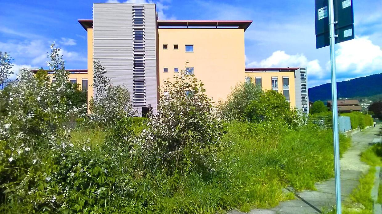 Una petizione per riqualificare due aree abbandonate: &laquo;Fate un giardino o un parcheggio&raquo;