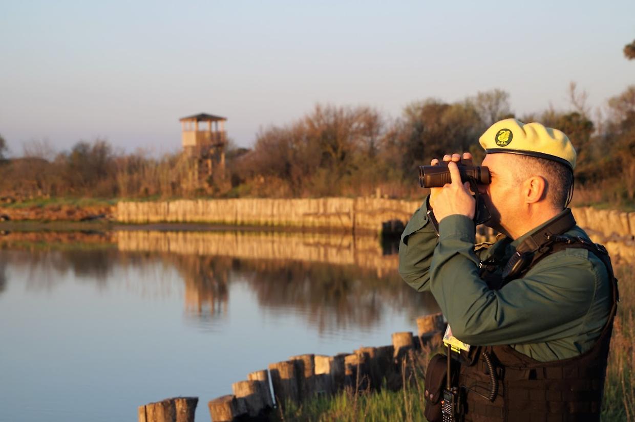 Diventare guardie ecologiche volontarie: a Torino bando aperto e corso gratuito