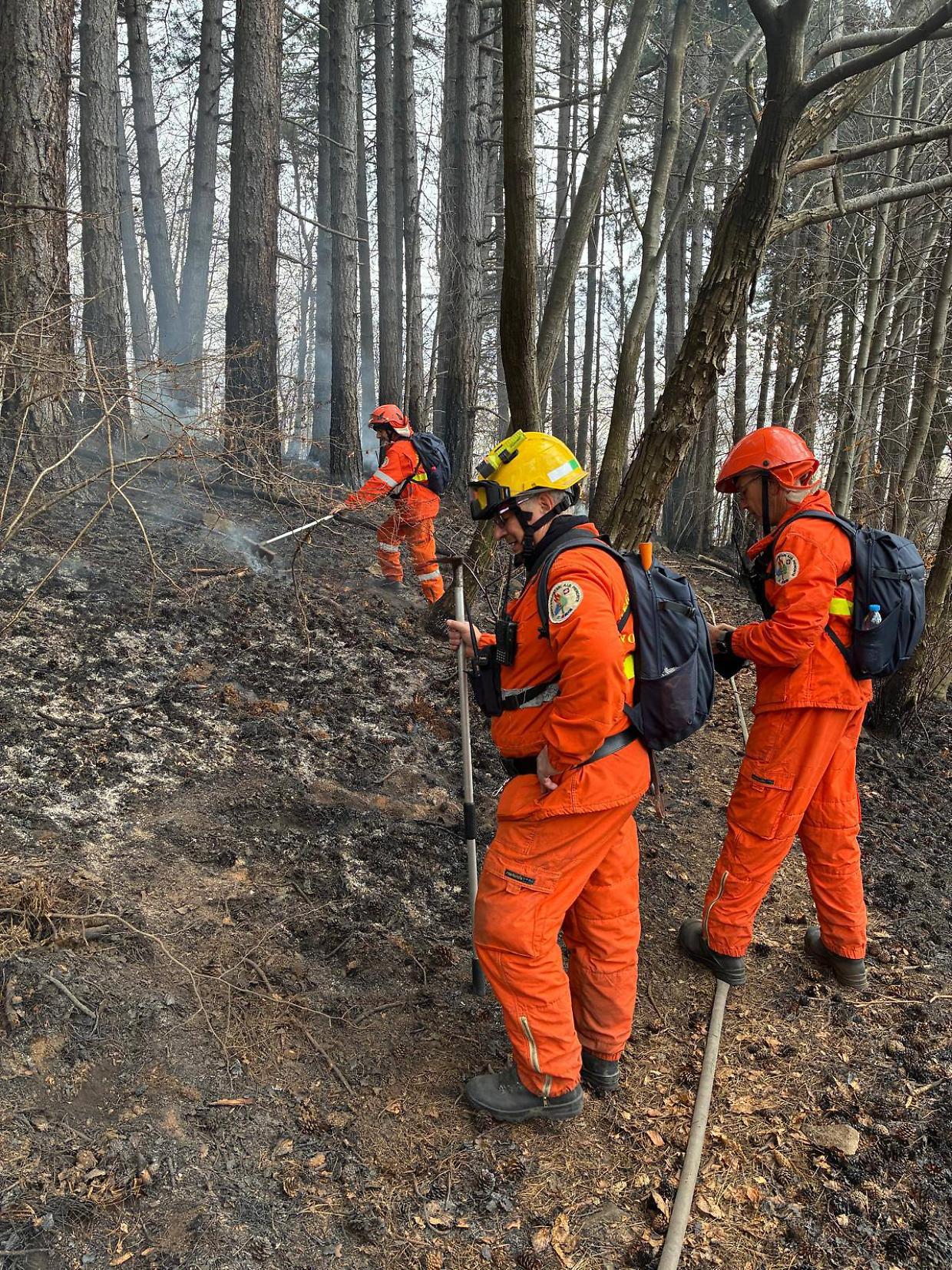 Fiamme in quota a Bussoleno