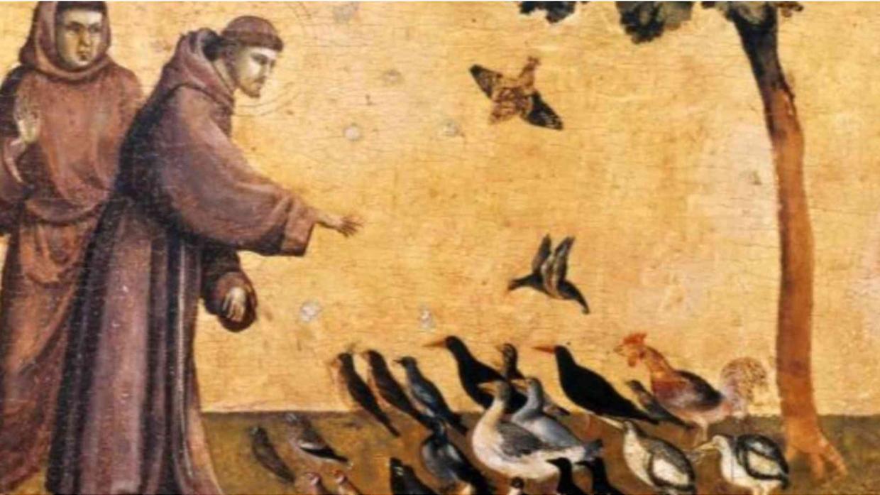 Assisi, un mese davanti a San Francesco: l&rsquo;ostensione per l&rsquo;Ottocentenario richiama centinaia di migliaia di pellegrini