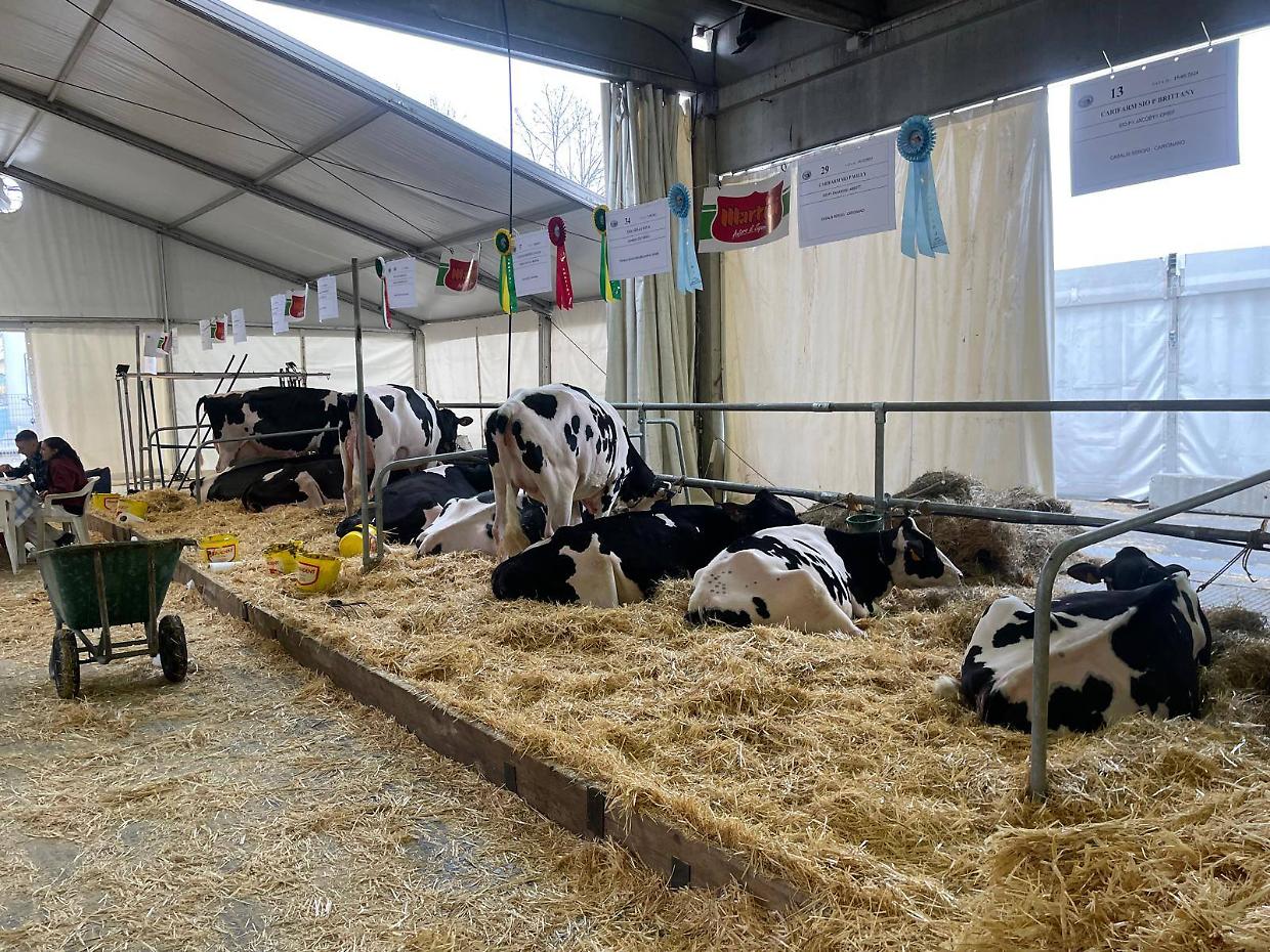 Carmagnola, in arrivo la 562&ordf; Fiera Primaverile: ecco le attivit&agrave; in programma