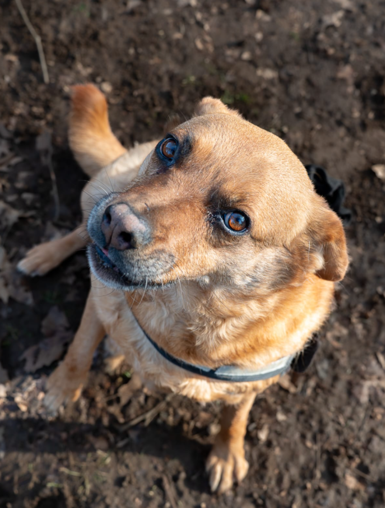 E' rimasta invisibile, non pu&ograve; passare la vita in box