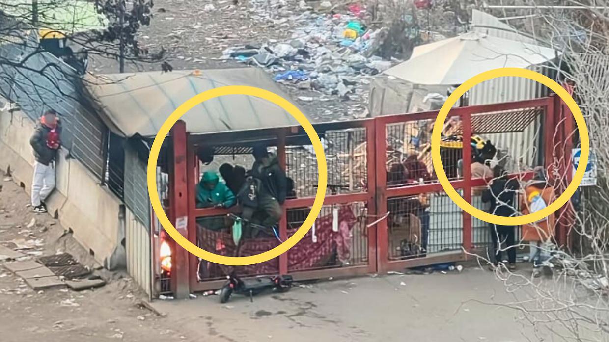 Spaccio a Torino, il cantiere nel parco diventa un "take away" della droga