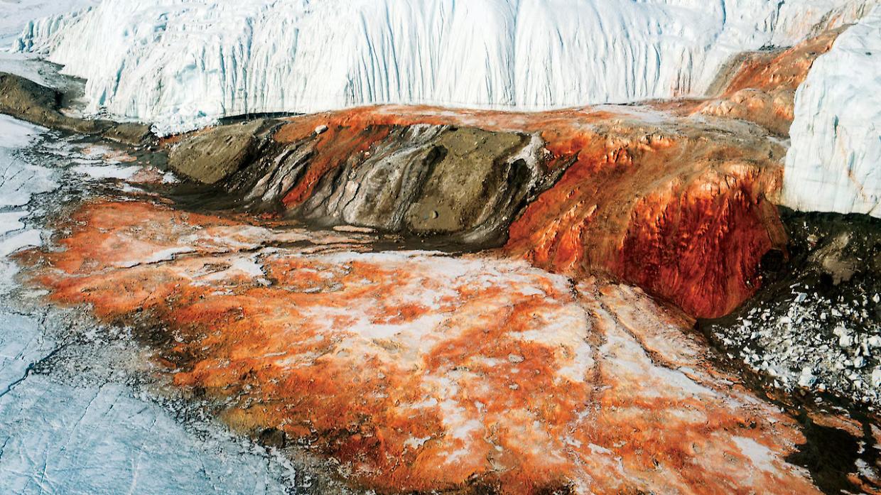 Cascate di Sangue in Antartide: svelato il segreto del flusso rosso che emerge dal ghiaccio