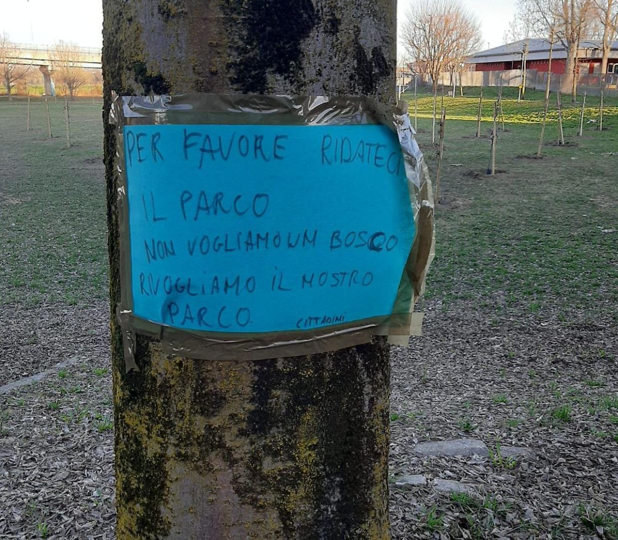 Cento alberi in via Carducci: Nichelino si spacca sul tema