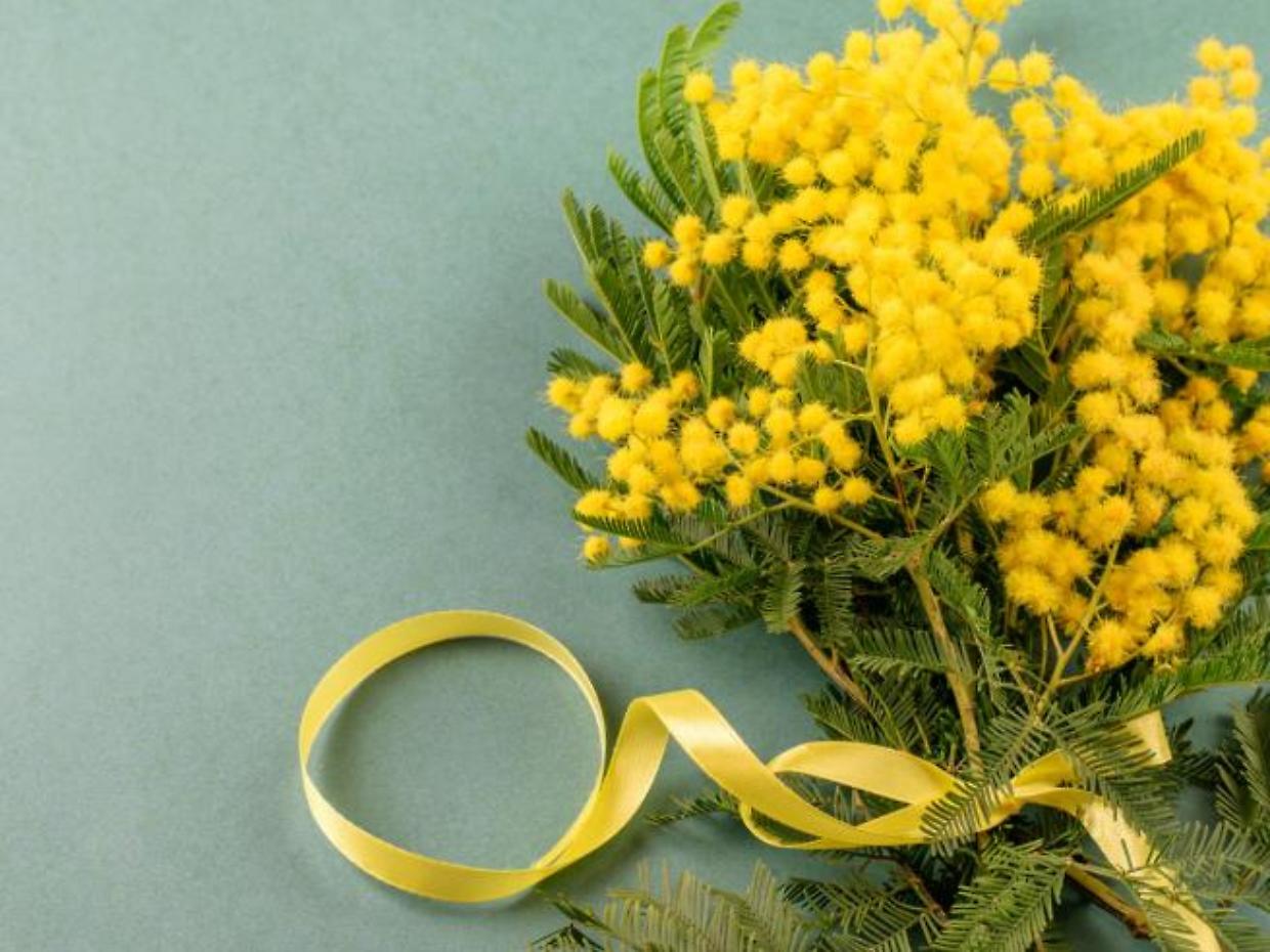 Nichelino, il programma delle iniziative per l&rsquo;8 marzo