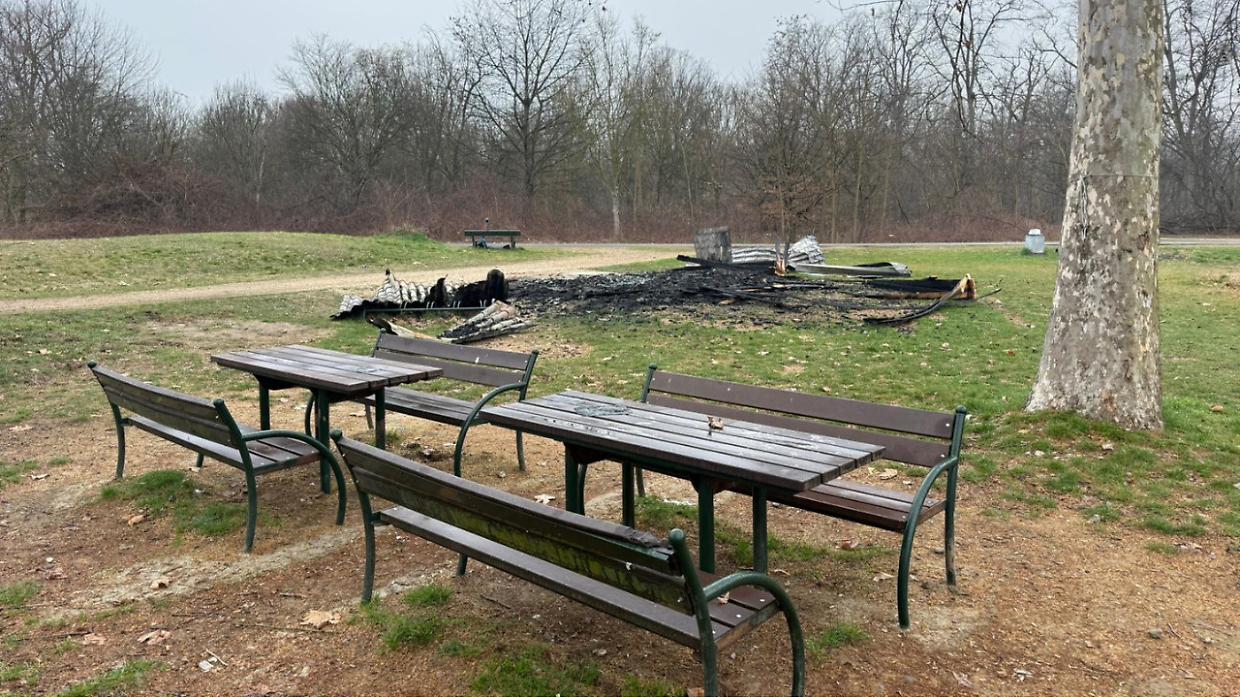 Nichelino, incendio doloso al parco del Boschetto: distrutta una casetta dei rifiuti