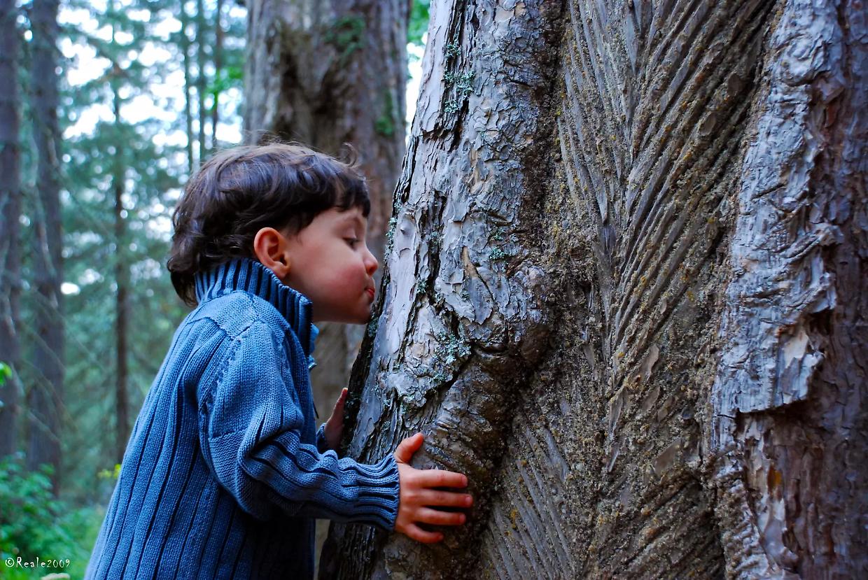 Perch&eacute; oggi dovresti bendare tuo figlio (e fargli annusare le piante)