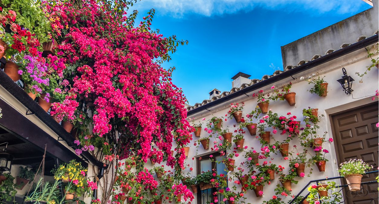 Tra gusto e storia: ecco le sagre e fiere da non perdere in Piemonte