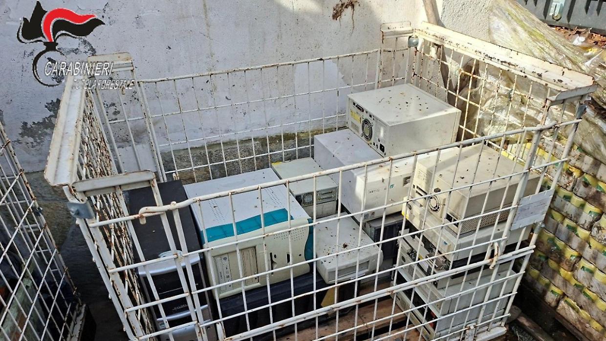 Torino, pastore tedesco prigioniero tra i rifiuti: scatta il blitz che incastra un gestore abusivo