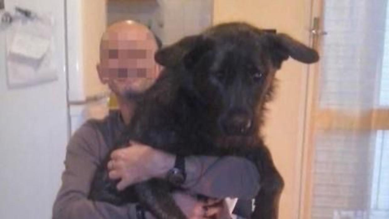 Uccise il suo cane a martellate: a processo l'animalista