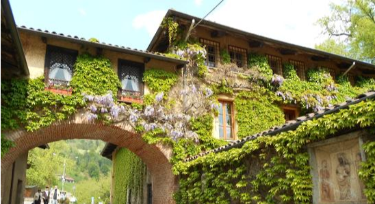 Primavera magica a un'ora da Torino: Pollone si prepara per lo spettacolo della fioritura