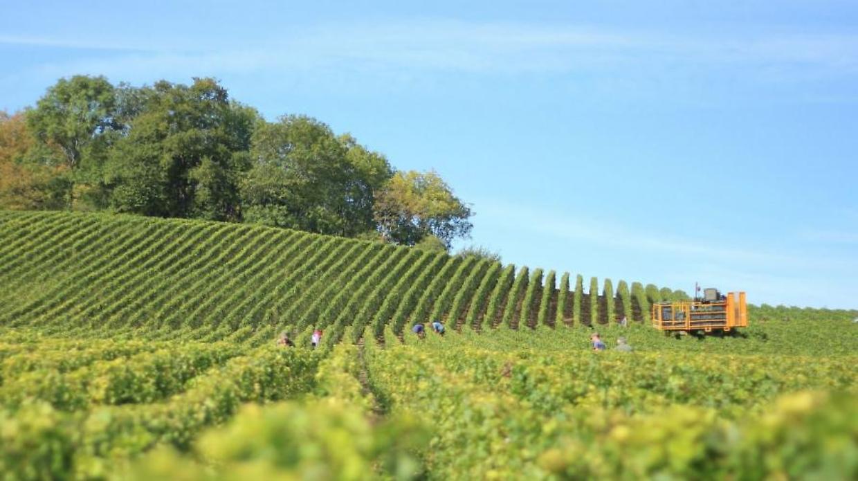 Stretto di Hormuz chiuso, Coldiretti avverte: &ldquo;Rischio per l&rsquo;agroalimentare&rdquo;